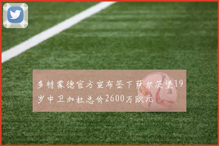 多特蒙德官方宣布签下萨尔茨堡19岁中卫加杜总价2600万欧元